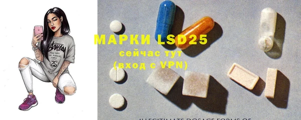 крисы Абаза