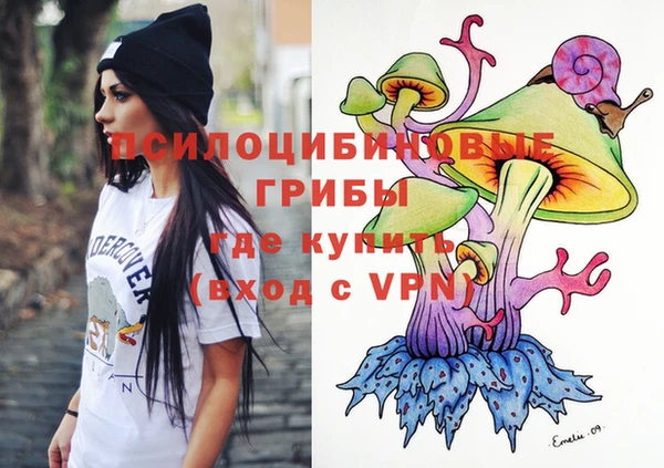ПСИЛОЦИБИНОВЫЕ ГРИБЫ Абинск