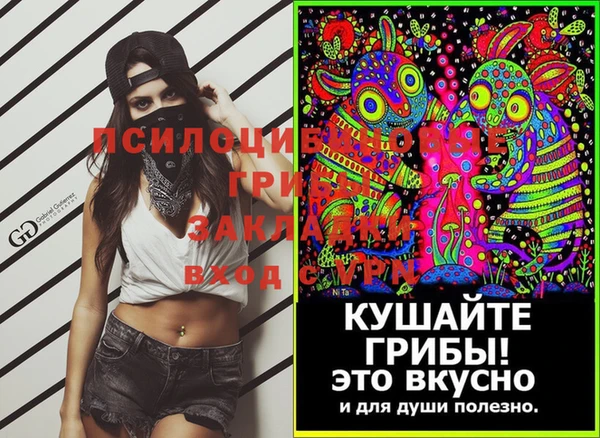 кокс Ладушкин