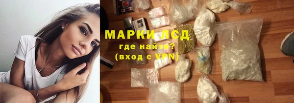 крисы Абаза