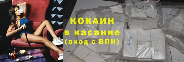 крисы Абаза