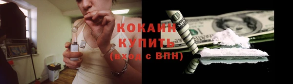 крисы Абаза