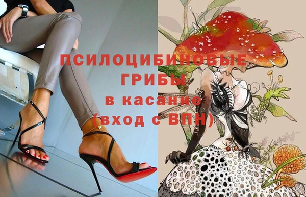 крисы Абаза
