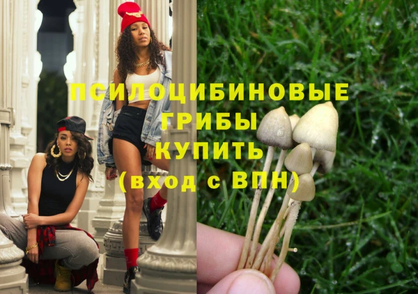 крисы Абаза
