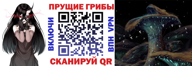 цены наркотик Элиста Галлюциногенные грибы Magic Shrooms